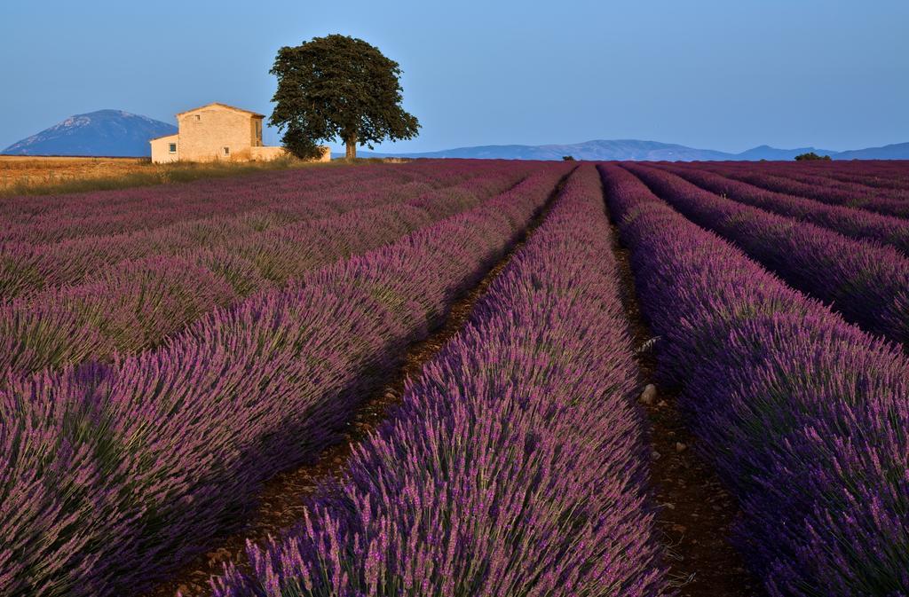 Hotel La Maison Des Collines Allemagne-en-Provence Exteriér fotografie